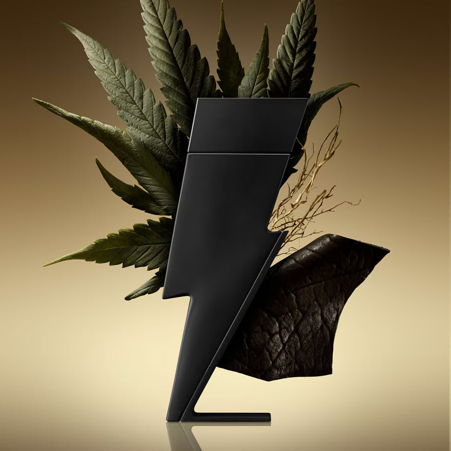 Carolina Herrera Bad Boy Le Parfum Eau de Parfum apa parfum